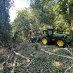 alt="cutting trees down"