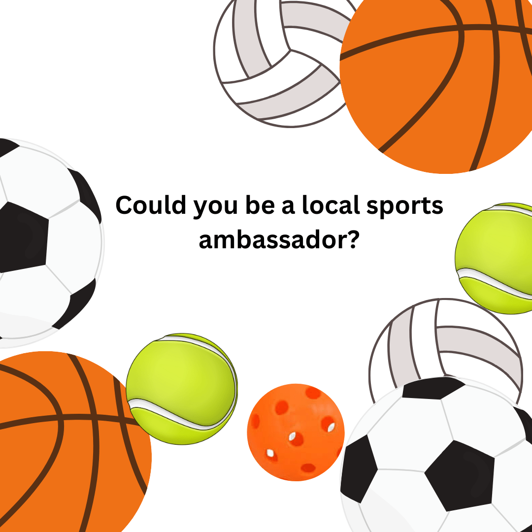 alt="range of different sports balls"